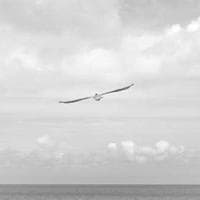 Parcela B - Saludable